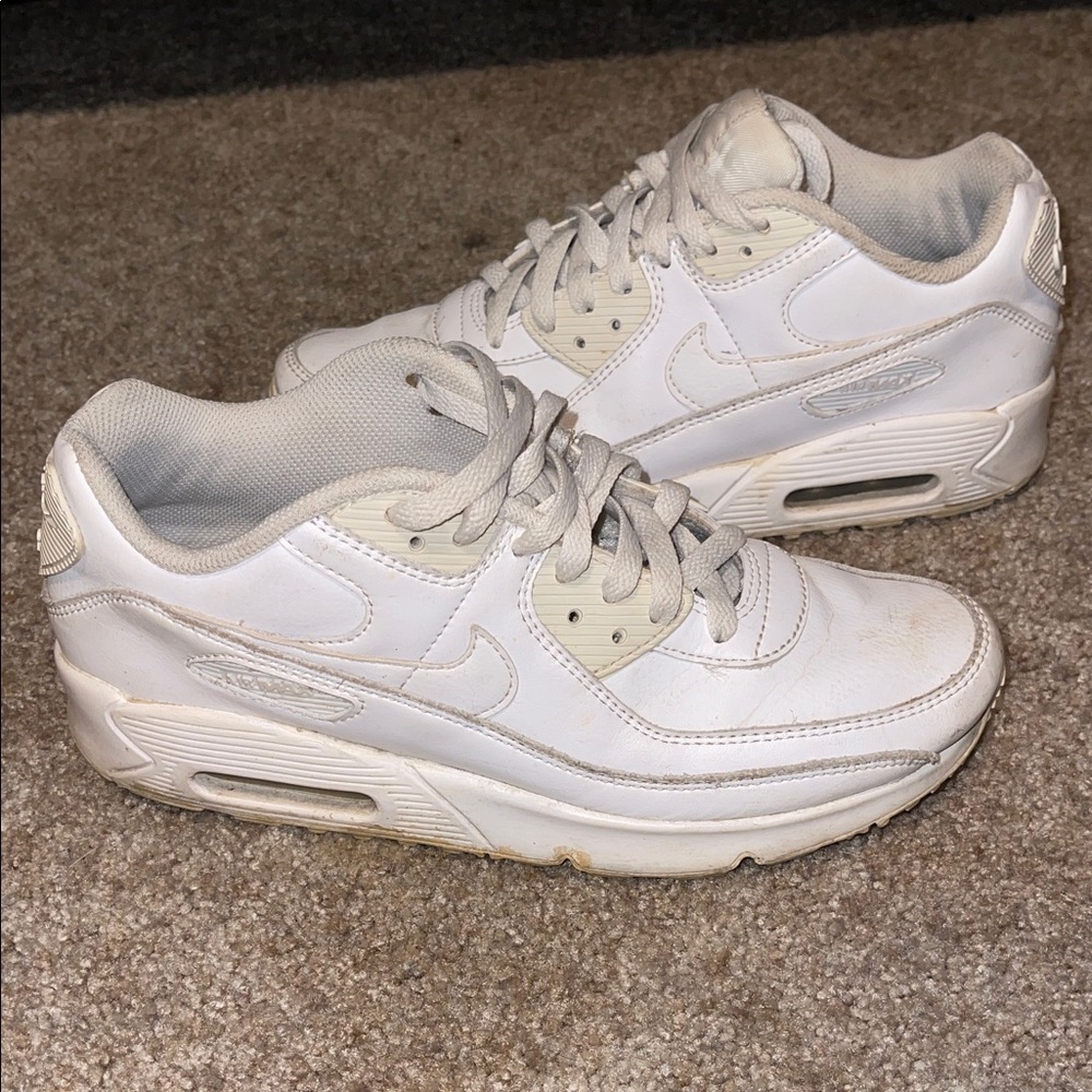 Nike Air Max Shoes